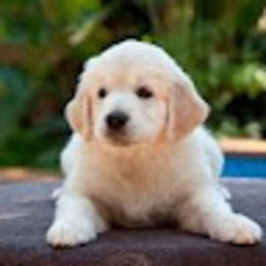 Meet your Posher, Ethan